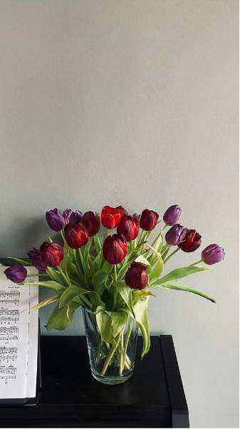 Elegant sympathy arrangement