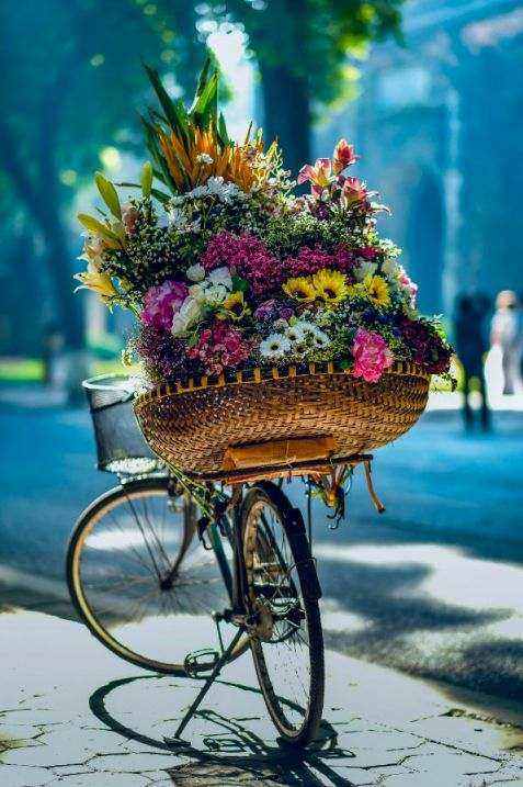 Wrapped native bouquet