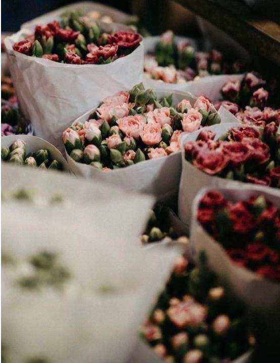 Blush Peony Mix
