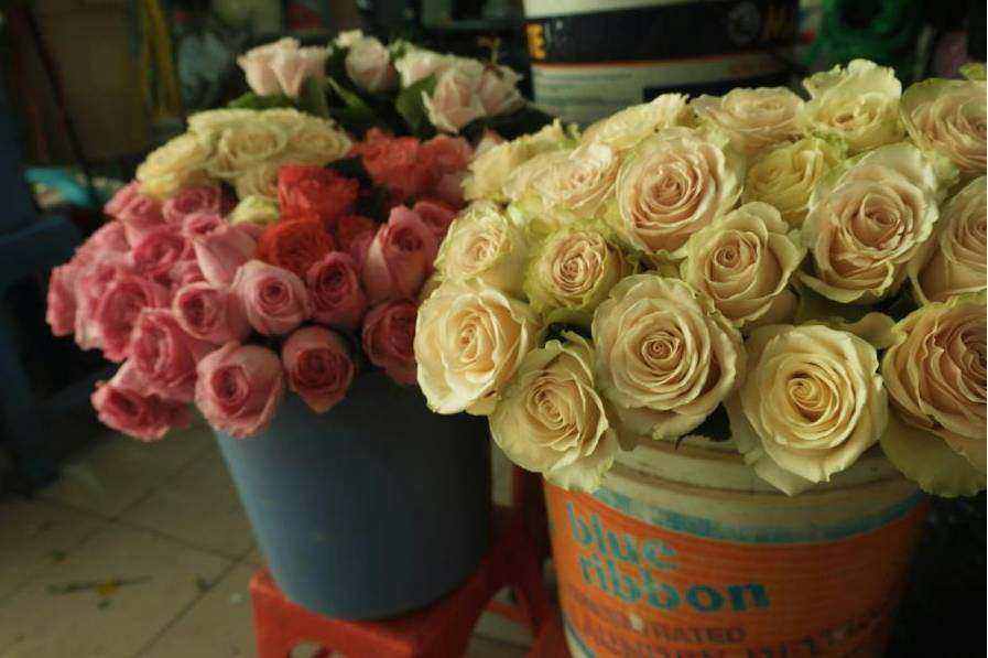 Perth same-day bouquets