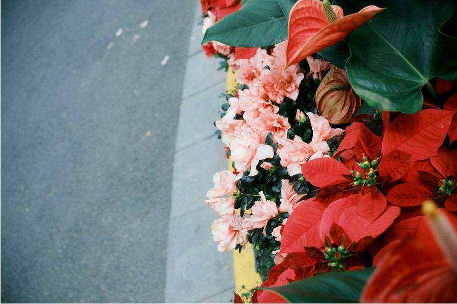 Wrapped bouquet