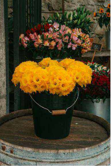 Sunrise native bouquet