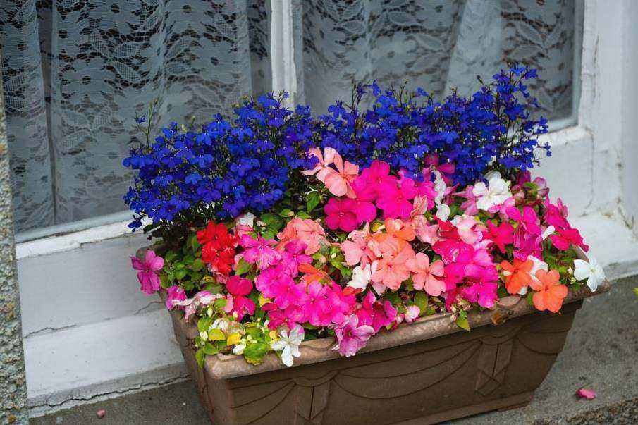 Florist arranging bouquet